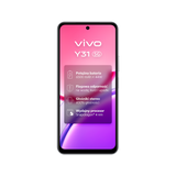 Y31